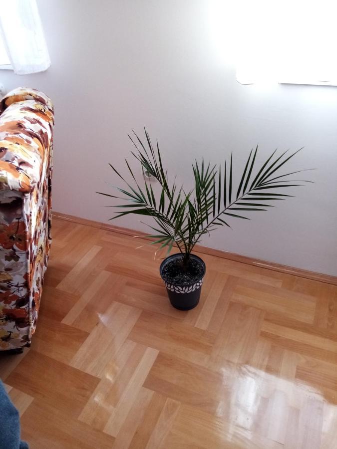 Apartman Maca Pirot Eksteriør billede