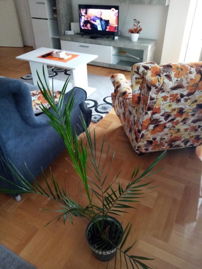 Apartman Maca Pirot Eksteriør billede