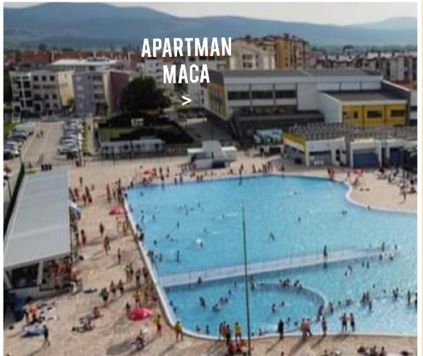 Apartman Maca Pirot Eksteriør billede